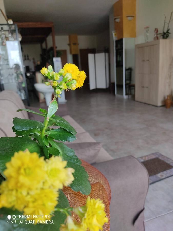 B&B Borgo Pileri マッツァリーノ エクステリア 写真